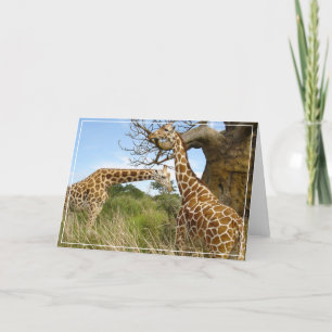 Giraffes Greeting Card Kort
