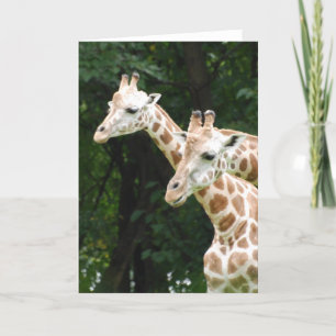 Giraffes hälsningskort kort