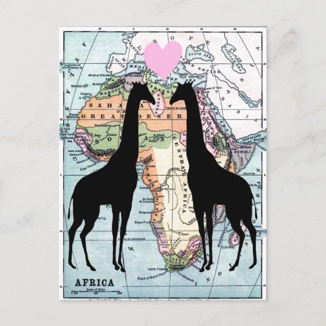 Giraffes i kärlek vykort (Framsida)