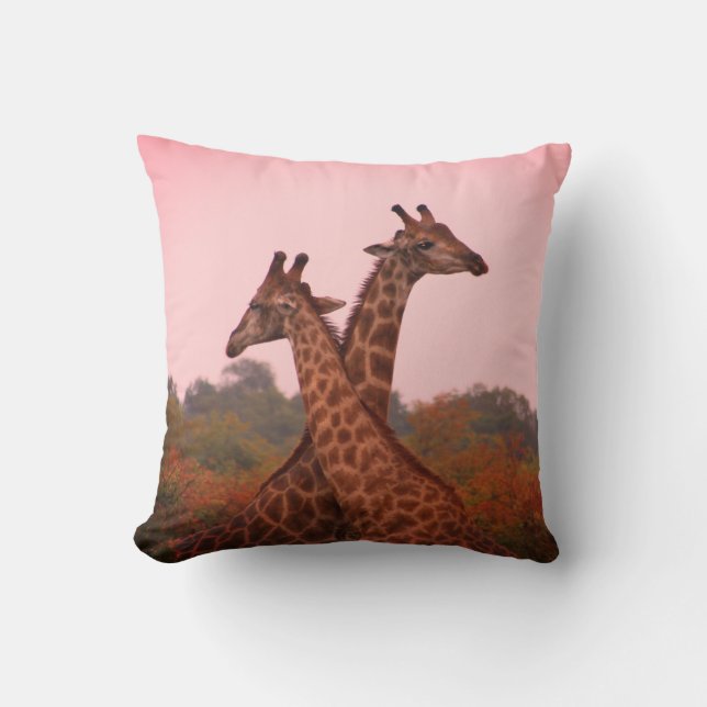 Giraffes i mopani träd med rosa himmel kudde (Framsida)