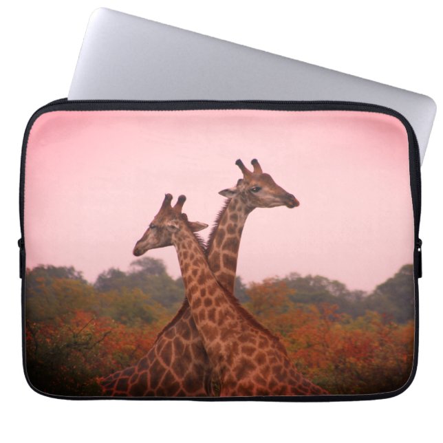 Giraffes i mopani träd med rosa himmel laptop fodral (Framsidan)