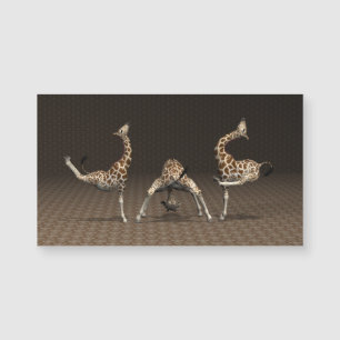 Giraffes Kärlek Gymnastics