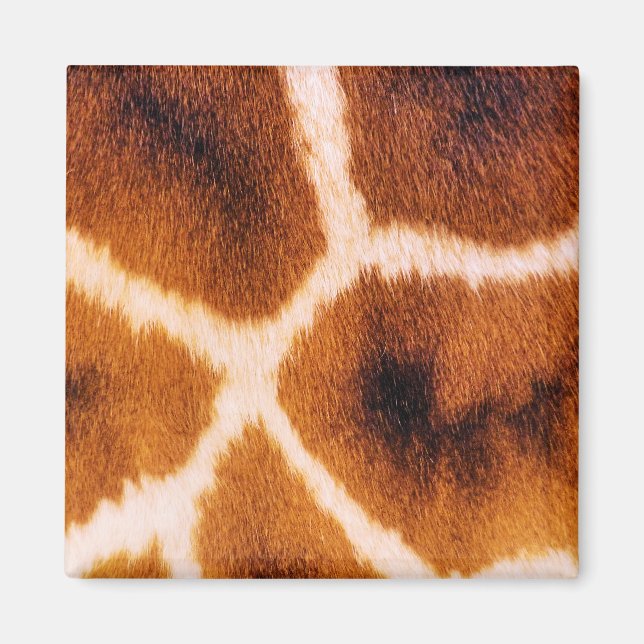 GIRAFFES MAGNET (Framsidan)