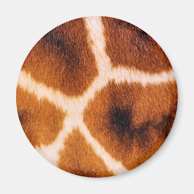 GIRAFFES MAGNET (Framsidan)