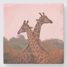 Giraffes med rosa himmel stenunderlägg