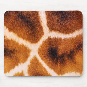 GIRAFFES MUSMATTA