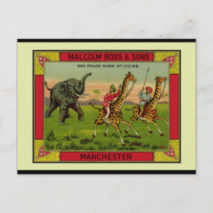 Giraffes och Elephant Vykort