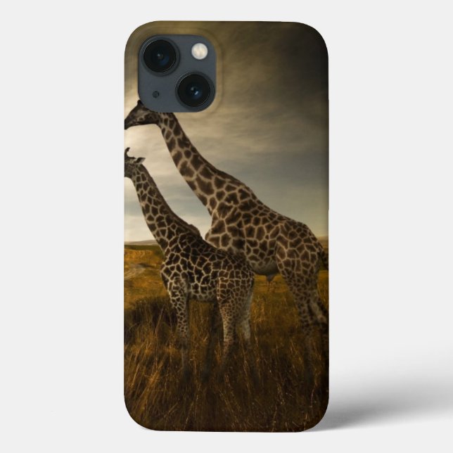 Giraffes och Landskapet (Baksida)
