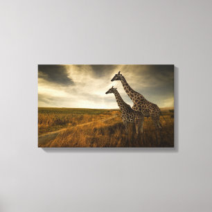 Giraffes och Landskapet Canvastryck