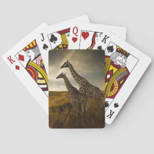 Giraffes och Landskapet Casinokort