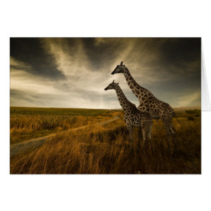 Giraffes och Landskapet Hälsningskort