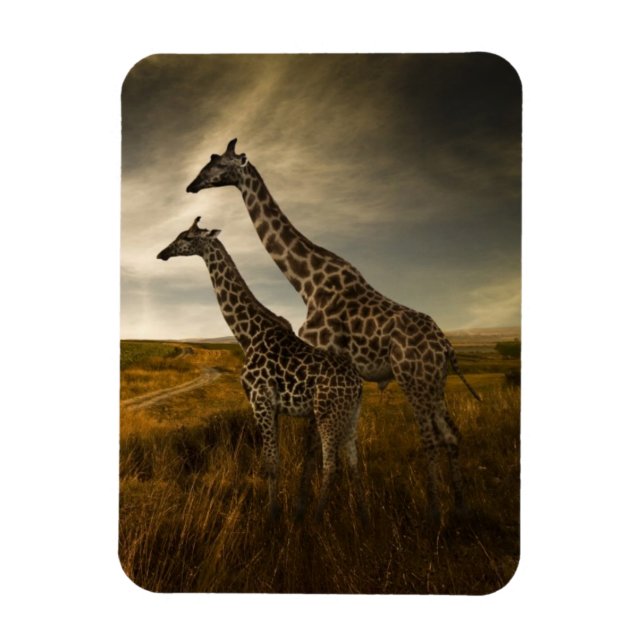 Giraffes och Landskapet Magnet (Vertikal)