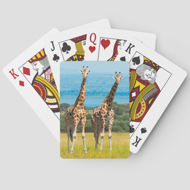 Giraffes on the Savanna, Uganda Casinokort (Baksidan)