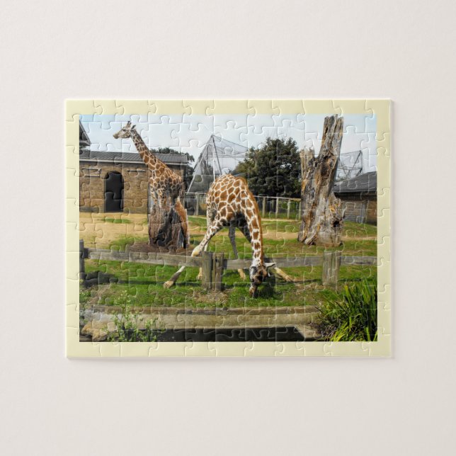 Giraffes Pussel (Horisontell)