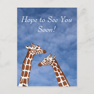 Giraffes ses snart vykort