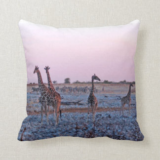 Giraffes Sunset Namibia Afrika Kudde