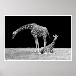 giraffes under afrikanskt himlar vid nattsvart vit poster