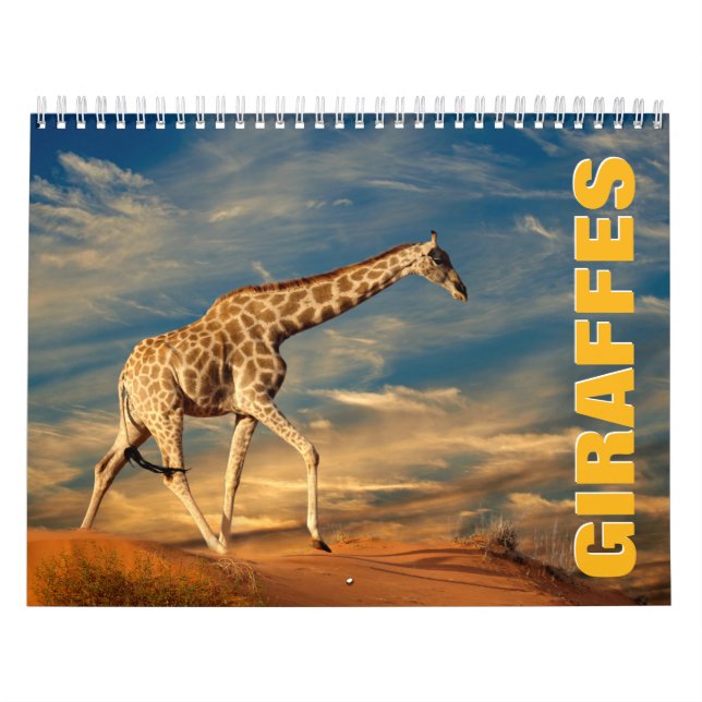 Giraffes Wall Calendar Kalender (Omslag)