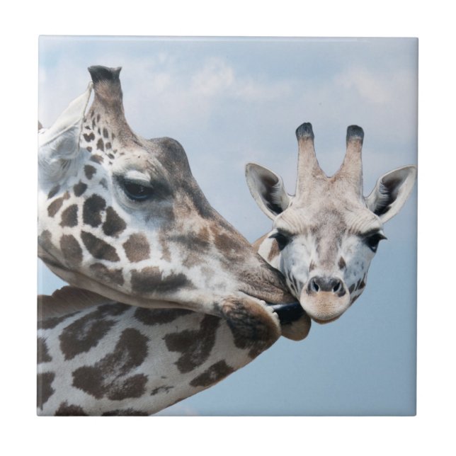 Giraffet kysser henne kalven kakelplatta (Framsidan)