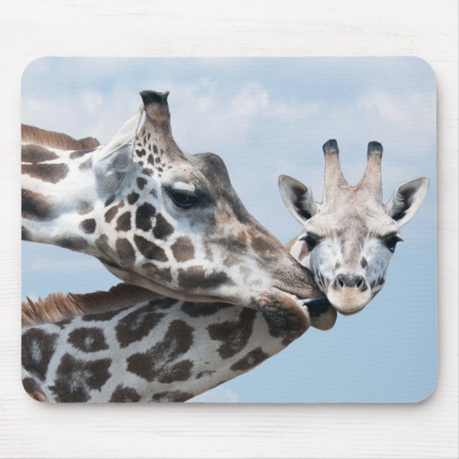 Giraffet kysser henne kalven musmatta (Framsidan)