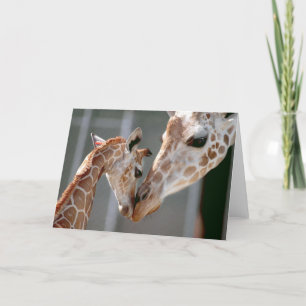 Giraffet och babyen noterar kortet kort