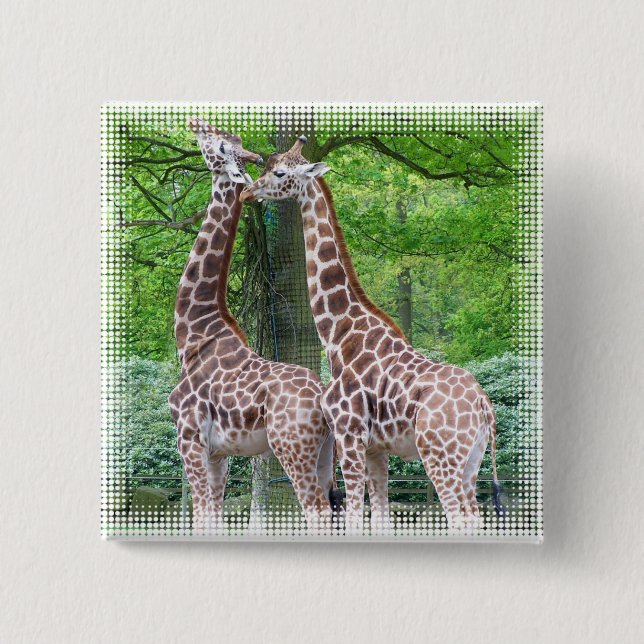 Giraffet parar kvadrerar klämmer fast knapp (Framsida)
