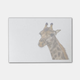 Giraffet postar det noterar post-it block