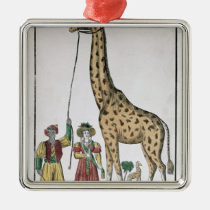Giraffet som framläggas för att göra till kung julgransprydnad metall