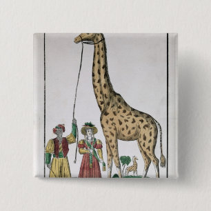 Giraffet som framläggas för att göra till kung knapp
