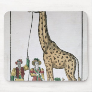 Giraffet som framläggas för att göra till kung musmatta