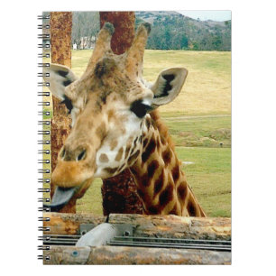 Giraffet som klibbar det, är anteckningsboken fö anteckningsbok
