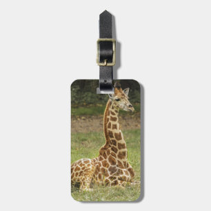 Girafffoto Bagagebricka