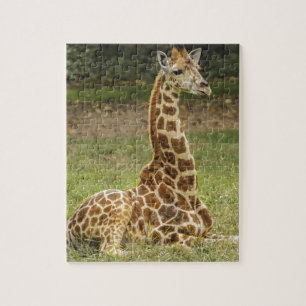 Girafffoto Pussel