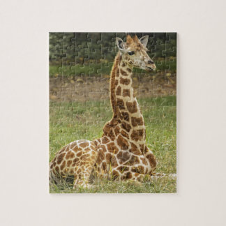Girafffoto Pussel