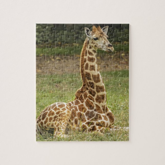 Girafffoto Pussel (Vertikal)