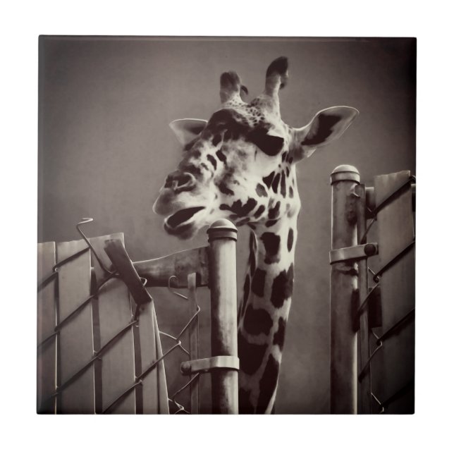 Girafffoto - Vintage Stil Kakelplatta (Framsidan)