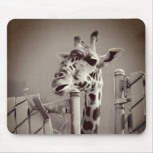 Girafffoto - Vintage Stil Musmatta