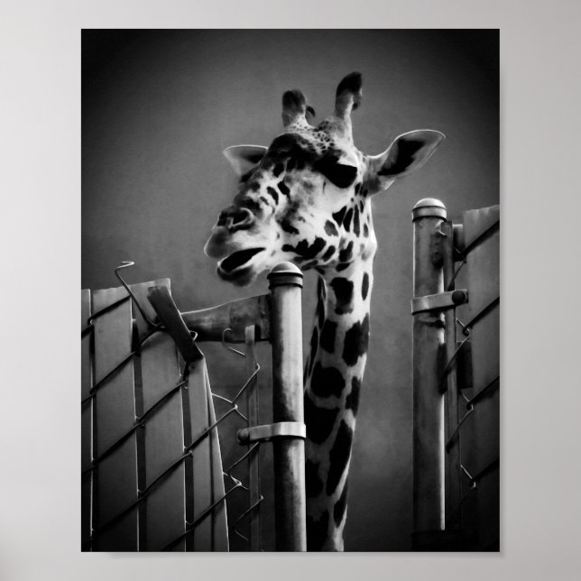 Girafffoto - Vintage Stil Poster (Framsidan)