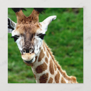 Girafffotoinbjudan Inbjudningar