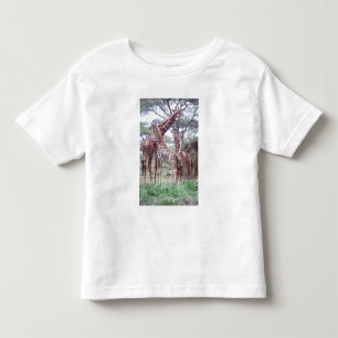 Giraffgrupp eller hjord med ungdjur, Giraffa Tee Shirt