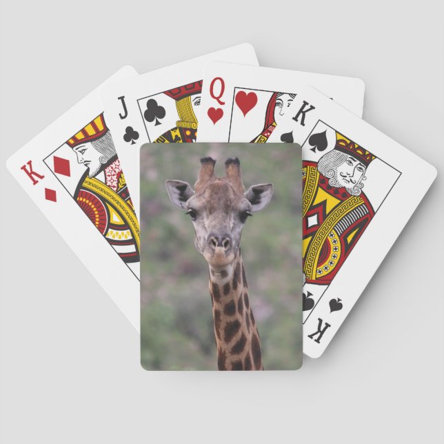 GiraffHeadshot Casinokort (Baksidan)