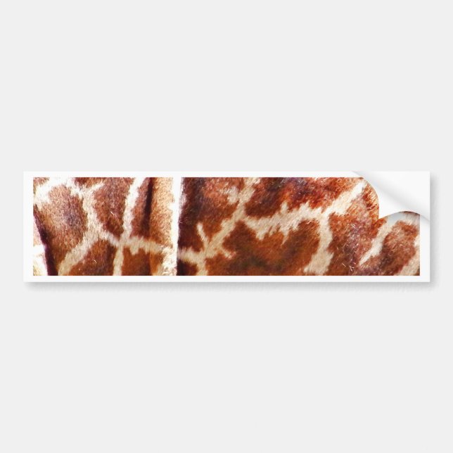 Giraffhud_ Bildekal (Framsidan)