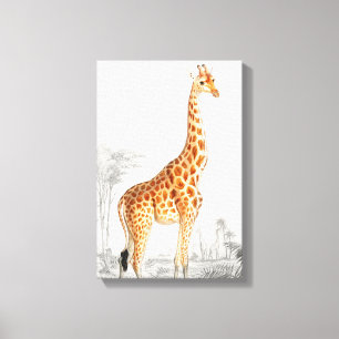 Giraffillustration Vintage konsttryck Canvastryck