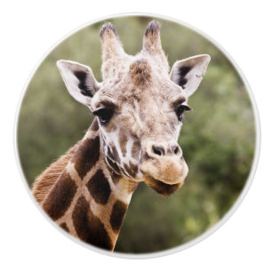 Giraffknopp Knopp