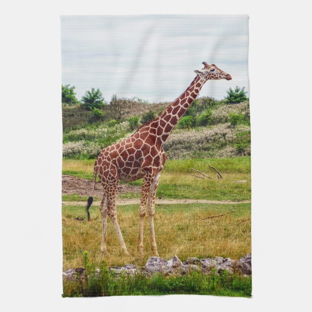 Giraffkökshandduk Kökshandduk (Vertikal)