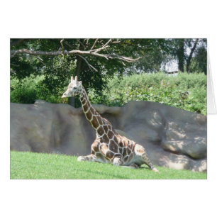 giraffkort hälsningskort