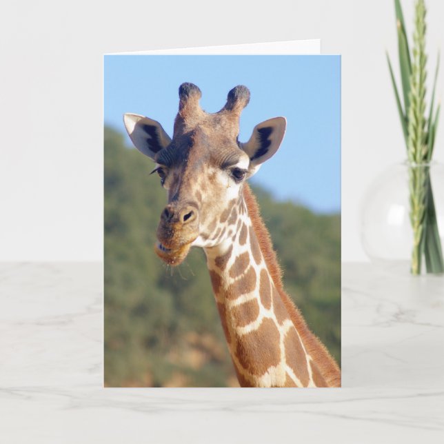 Giraffkort Kort (Framsida)