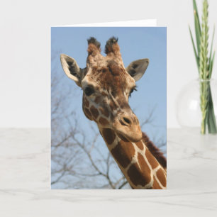 Giraffkort Kort