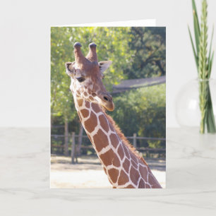 Giraffkort Kort