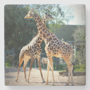 giraffkustfartyg stenunderlägg
